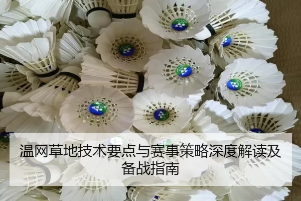 温网草地技术要点与赛事策略深度解读及备战指南